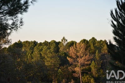 /international/pt/santarem-santarem-310105648951/