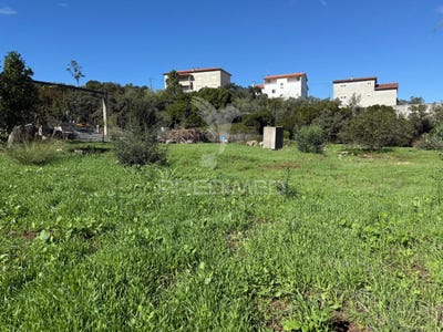 /international/pt/fatima-ourem-santarem-310103447920/