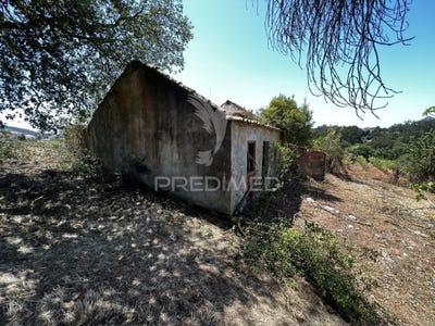 /international/pt/landal-caldas-da-rainha-leiria-310108036033/