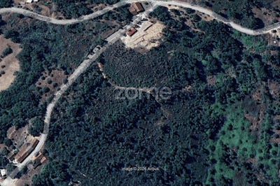 /international/pt/ansiao-leiria-310105014696/