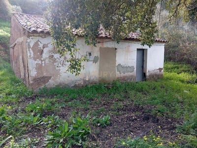 /international/pt/monchique-faro-310097800123/