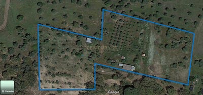 /international/pt/torrao-setubal-municipality-310098470007/