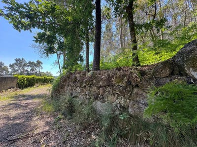 /international/pt/rua-de-borreiros-vila-cova-portugal-vila-cova-e-feitos-braga-310106510469/