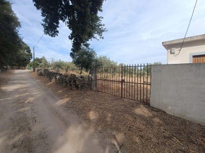 /international/pt/uniao-das-freguesias-de-escalos-de-baixo-e-mata-portugal-escalos-de-baixo-castelo-branco-310105185287/