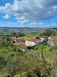 /international/pt/lemenhe-braga-310108158087/