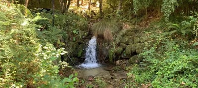 /international/pt/rua-de-costa-944-frades-portugal-calvos-e-frades-braga-310103746250/