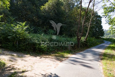 /international/pt/sabariz-vila-verde-braga-310100907976/