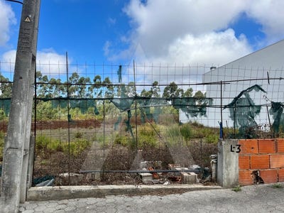 /international/pt/aradas-coimbra-310100275415/
