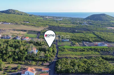 /international/pt/madalena-azores-310101882092/