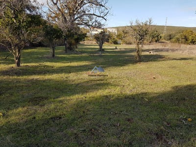 /international/pt/loule-faro-310108283260/