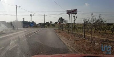 /international/pt/palmela-setubal-municipality-120096357608/