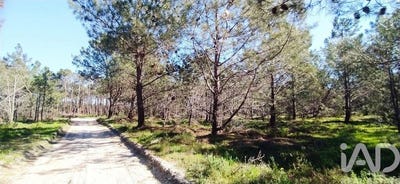 /international/pt/loureiro-vila-real-310102609760/