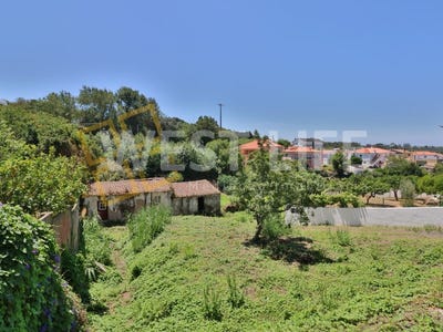 /international/pt/turcifal-lisbon-310098116992/