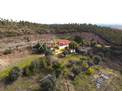 /international/pt/beja-beja-310105991131/