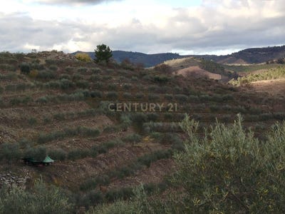 /international/pt/abreiro-portugal-abreiro-braganca-310102237204/