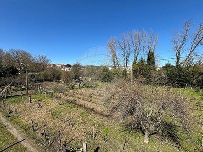 /international/pt/chaves-vila-real-310107905297/