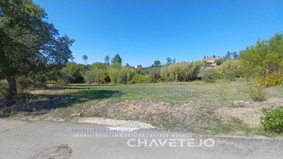 /international/pt/sao-pedro-de-tomar-santarem-310102888339/
