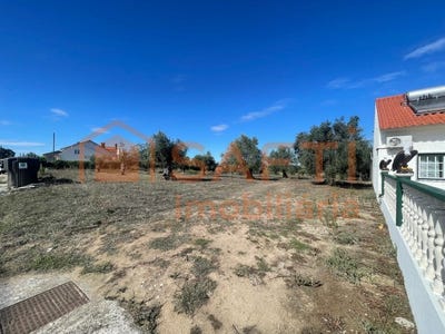 /international/pt/sao-pedro-de-tomar-santarem-310103178049/