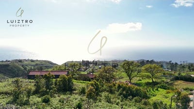 /international/pt/ponta-do-pargo-madeira-310107558622/