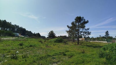 /international/pt/rua-da-escola-fernao-ferro-setubal-municipality-310107490661/