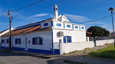 /international/pt/boavista-dos-pinheiros-odemira-beja-310097523701/