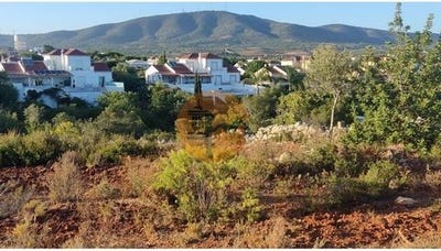 /international/pt/cerro-azul-olhao-faro-120086452905/