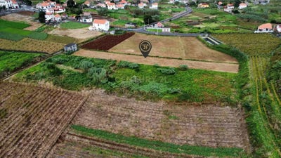 /international/pt/levada-grande-porto-moniz-portugal-ilha-da-madeira-madeira-310105101841/
