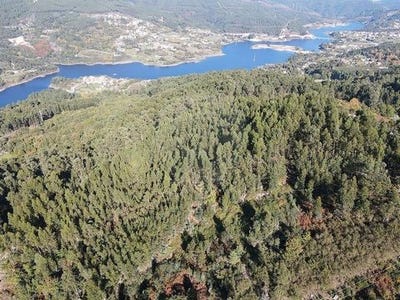 /international/pt/ribeira-de-pena-vila-real-310106288080/