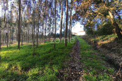 /international/pt/alcobaca-viana-do-castelo-310104509496/