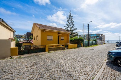 /international/pt/canidelo-porto-310108407111/
