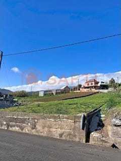 /international/pt/canhas-madeira-310107560143/