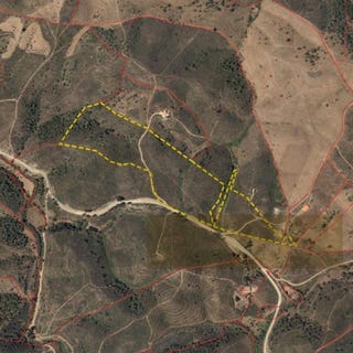/international/pt/santana-da-serra-beja-310105536017/
