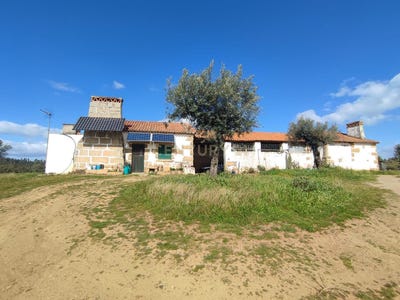 /international/pt/escalos-de-baixo-e-mata-castelo-branco-district-120091259258/