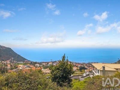 /international/pt/calheta-madeira-310108276481/