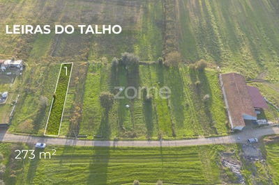 /international/pt/paredes-viana-do-castelo-310096464467/