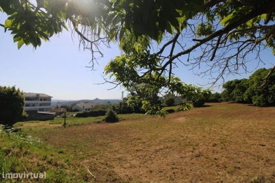 /international/pt/oliveira-do-douro-porto-310108619129/?lang=zh-tw