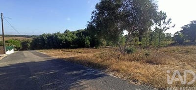 /international/pt/santarem-santarem-120086919275/