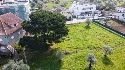 /international/pt/quinta-da-casinha-pombal-portugal-pombal-braga-310100665885/