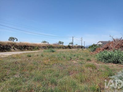 /international/pt/da-madalena-e-samaioes-santarem-310103618590/