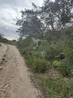 /international/pt/achete-azoia-de-baixo-e-povoa-de-santarem-santarem-santarem-310095140403/