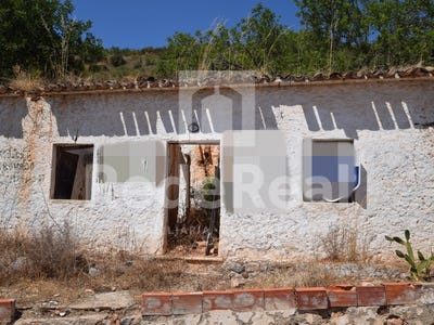 /international/pt/alte-faro-310106858008/