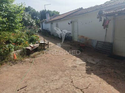 /international/pt/santiago-do-cacem-santa-cruz-e-sao-bartolomeu-da-serra-santiago-do-cacem-setubal-municipality-310100295817/