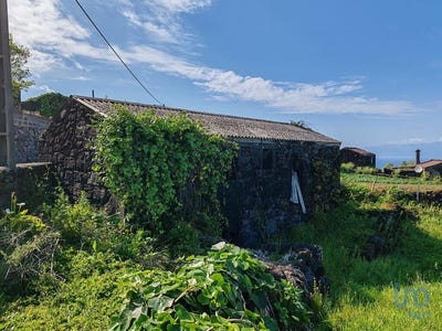 /international/pt/ilha-do-pico-azores-310100957483/