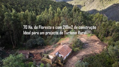 /international/pt/faro-faro-310104989813/