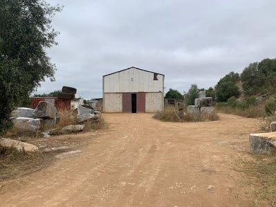 /international/pt/trigaches-e-sao-brissos-beja-district-310107270396/