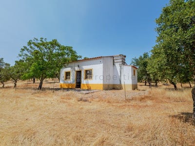 /international/pt/vila-verde-de-ficalho-beja-310101928403/