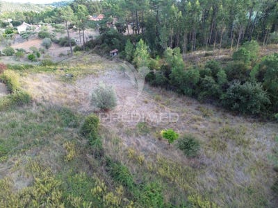 /international/pt/arneiro-das-milharicas-santarem-santarem-310102961269/