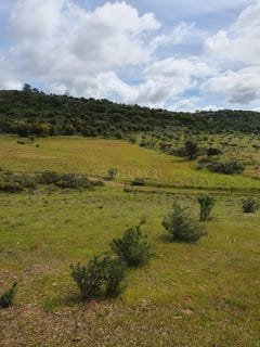 /international/pt/jcrr-c6-redondo-portugal-redondo-aveiro-310107371565/
