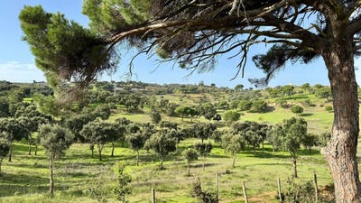 /international/pt/quinta-malpaga-pequena-rua-do-vale-da-adega-azambuja-lisbon-310104040080/