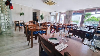 /international/pt/arvore-porto-310100486033/